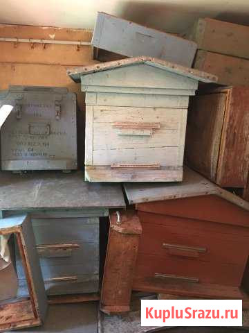 Улий для пчёл домик Елизаветино - изображение 1