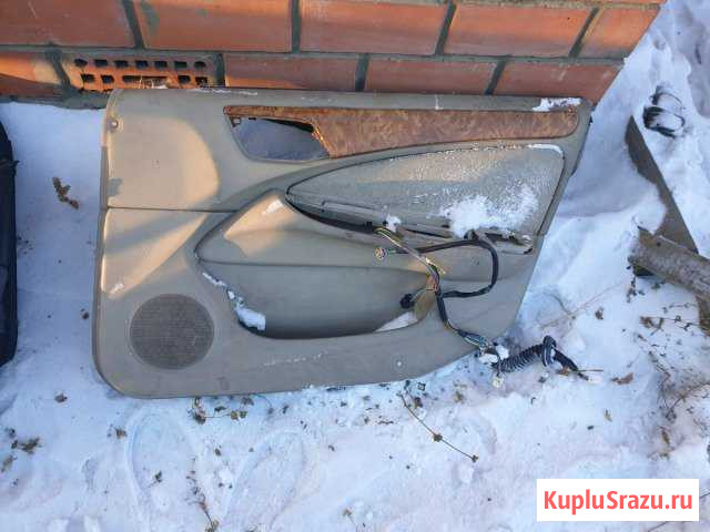 Блюберт силфик Усолье-Сибирское - изображение 1