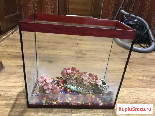 Аквариум Прохладный - изображение 1