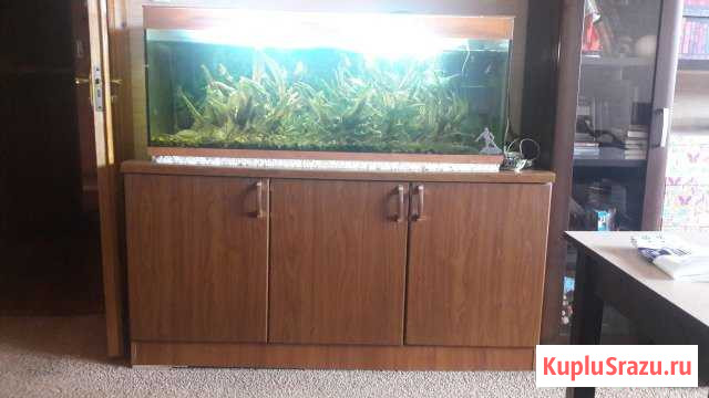 Аквариум 240л полный комплект Мичуринск - изображение 1