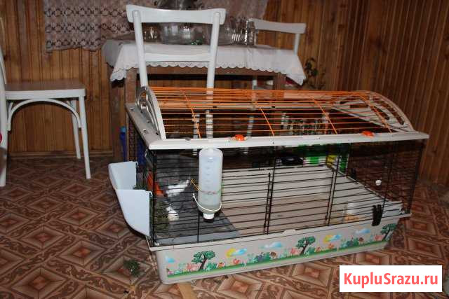 Клетка для домашних питомцев Киржач - изображение 1