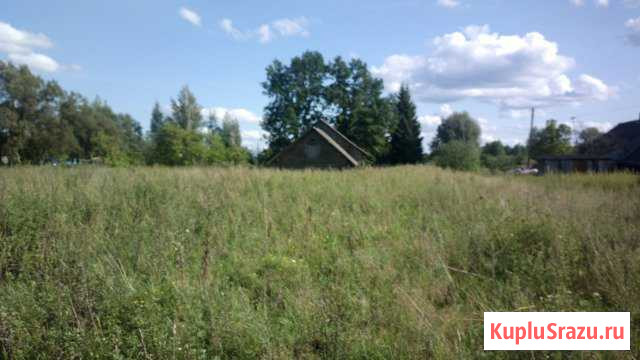  Старая Русса - изображение 1