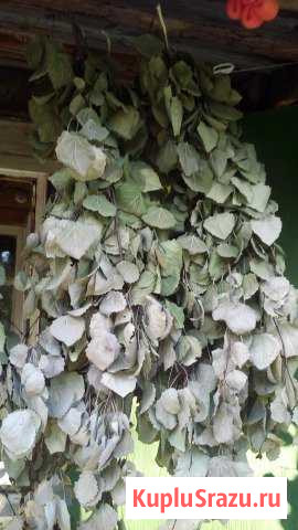 Осиновые веники Дедовск - изображение 1