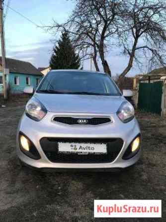 KIA Picanto 1.2 AT, 2013, хетчбэк Супонево