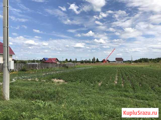 Городец - изображение 1