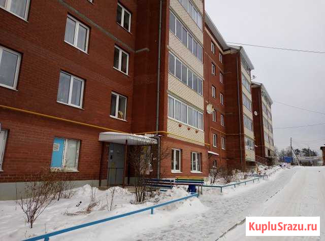 2-к квартира, 58.4 кв.м., 3/5 эт. Березовский - изображение 1