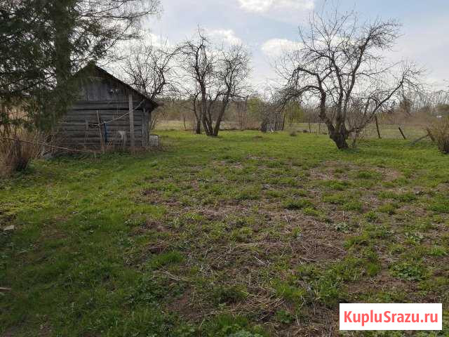 Дом 54 кв.м. на участке 50 сот. Старица - изображение 1