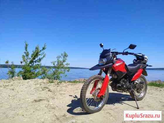 Irbis XR250R Засечное