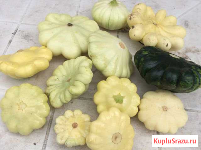 Кабачки и патиссоны Воскресенск - изображение 1