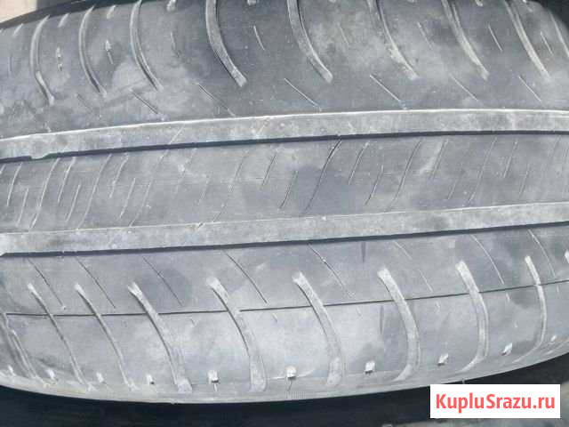 Пара r14 Кингисепп - изображение 1