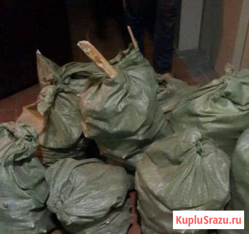 Вывоз мусора. Демонтаж. Грузчики Подольск - изображение 1
