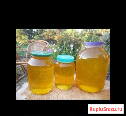 Мёд свежий Нижнекамск - изображение 1