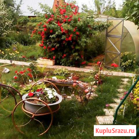  Подстепки - изображение 1