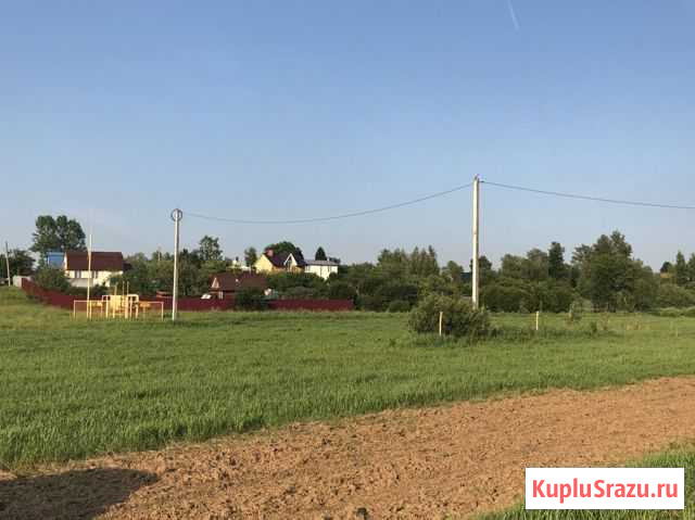  Буревестник - изображение 1