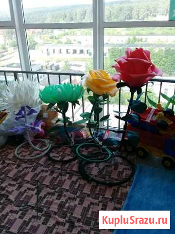 Ростовые цветы Екатеринбург - изображение 1