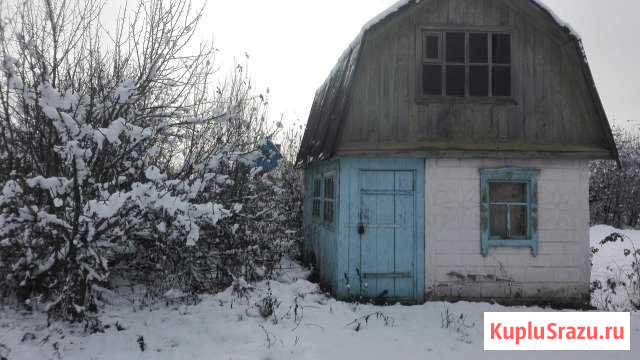  Аша - изображение 1