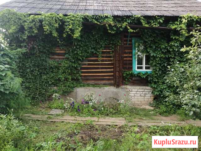 Дом 30.9 кв.м. на участке 15 сот. Фаленки - изображение 1