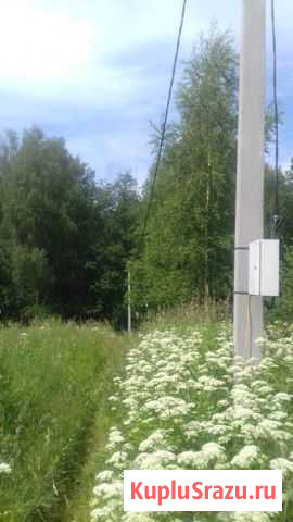  Нурма - изображение 1