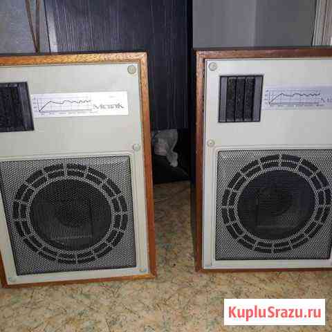 Акустика Маяк 15ас 223 Киров