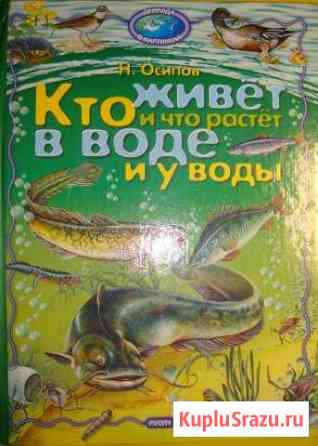 Кто живёт в воде и у воды Анапа
