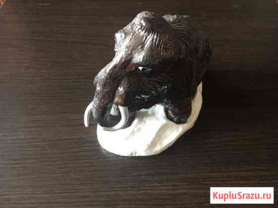 Мамонт Кольчугино