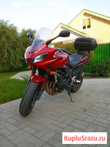 Yamaha FZ6 S2 Старый Оскол - изображение 1