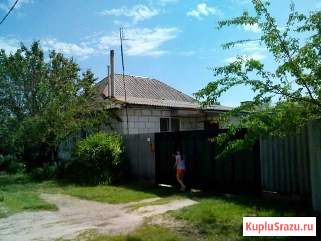 Дом 100 кв.м. на участке 44 сот. Грайворон - изображение 1
