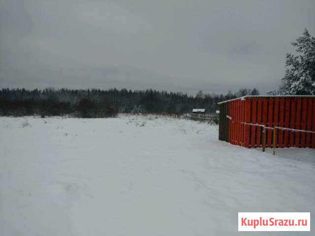 Кириллов - изображение 1