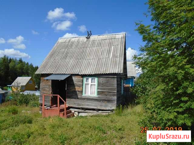  Новодвинск - изображение 1