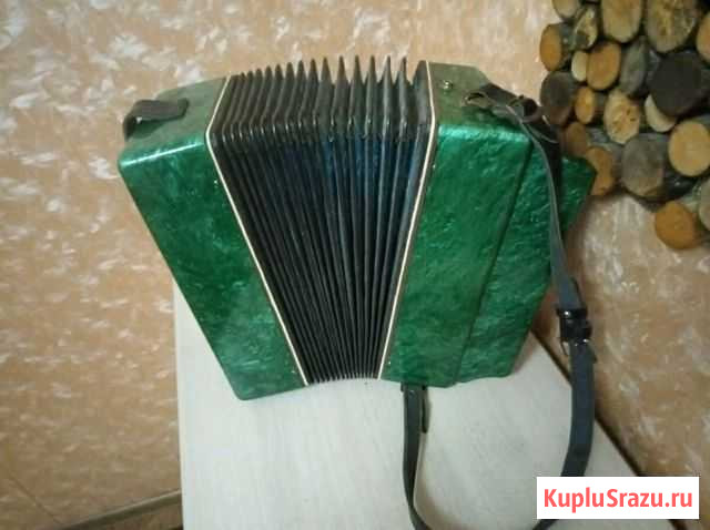 Гармонь Чайка Ильиногорск - изображение 1