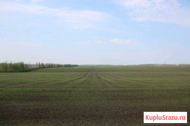  Курганинск - изображение 1