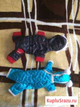 Комбинезон для собаки Ногинск