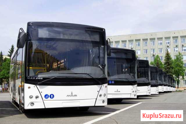Автобус маз 206 Екатеринбург - изображение 1