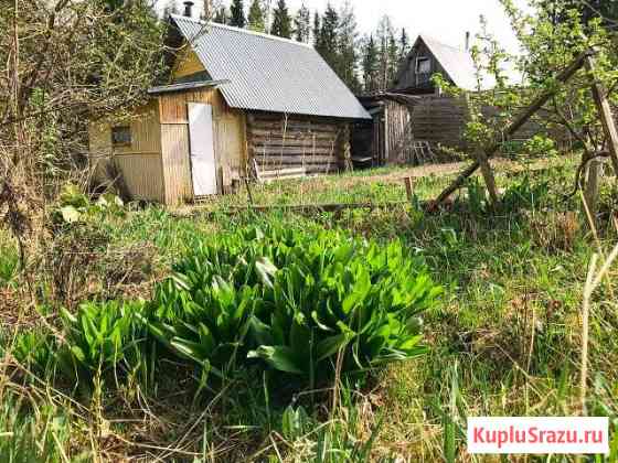  Сыктывкар