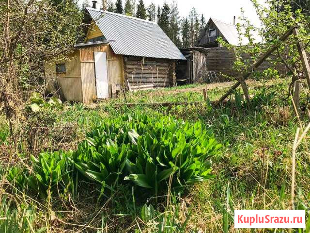  Сыктывкар - изображение 1