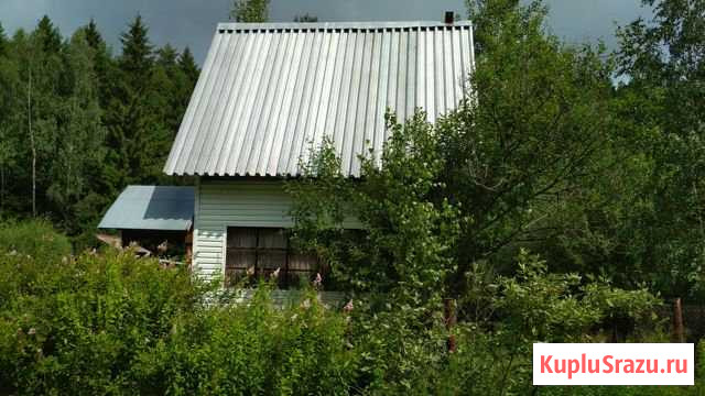  Чехов - изображение 1