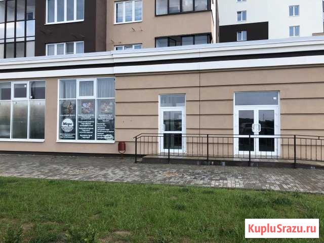 Сдам помещение свободного назначения Коломна - изображение 1