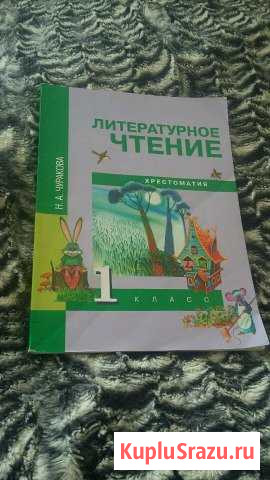 Литературное чтение 1 класс Железногорск - изображение 1