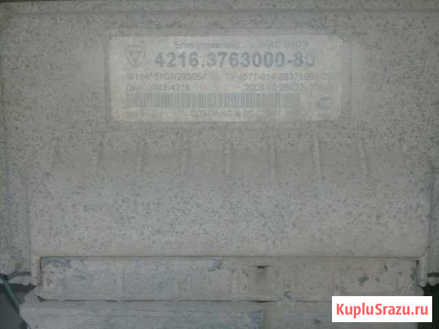 Мозги от муз 4216 Красный Яр - изображение 1