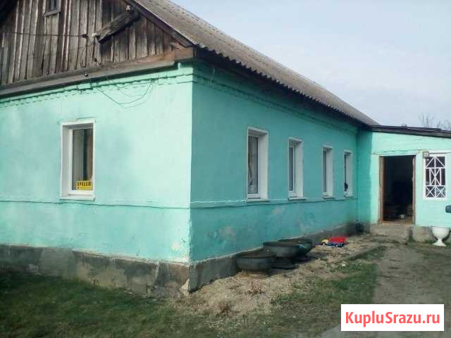 Дом 50 кв.м. на участке 40 сот. Становое - изображение 1