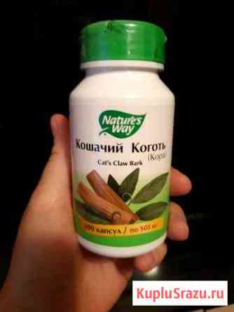 Кошачий коготь Саратов