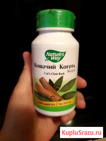 Кошачий коготь Саратов - изображение 1