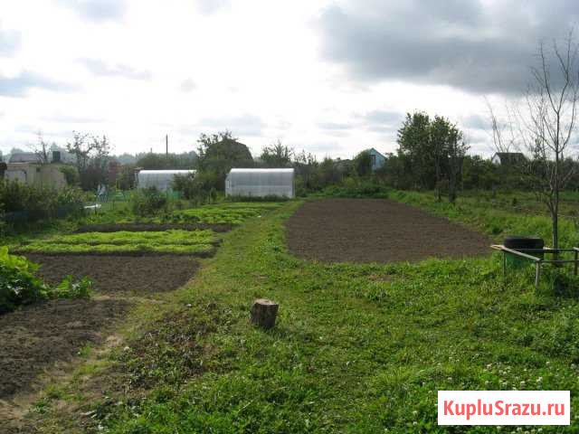  Кострома - изображение 1