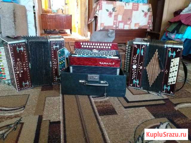 Гармонь Клин - изображение 1