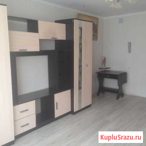  Камышин - изображение 1