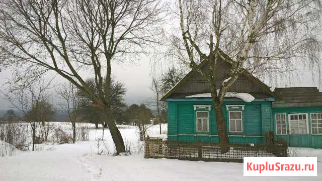 Дом 40 кв.м. на участке 38 сот. Трубчевск - изображение 1