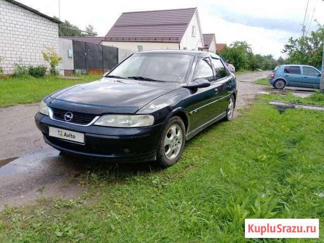 Opel Vectra 1.6 МТ, 2000, хетчбэк Новозыбков - изображение 1