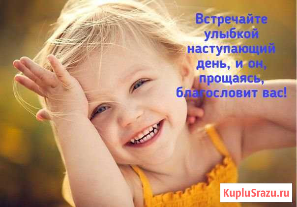 Поросята Зеленокумск - изображение 1