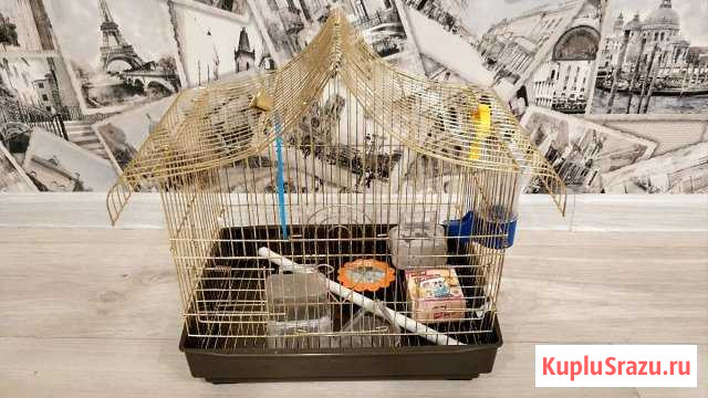 Клетка Октябрьский - изображение 1