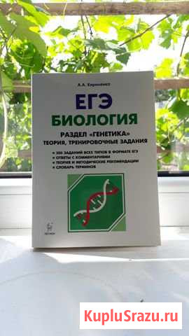 Биология егэ, раздел генетика, Кириленко Кумертау - изображение 1